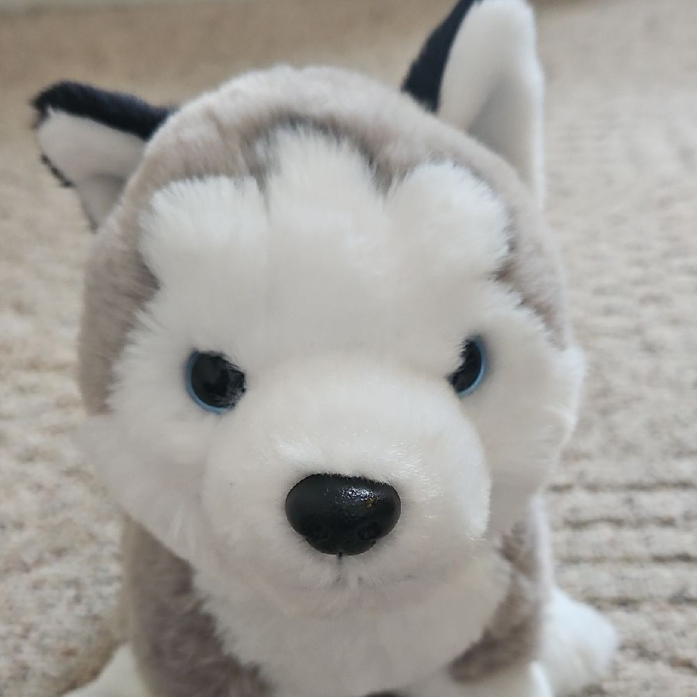 Hugs & Cuddles Husky Dog Plush Stuffed Animal Blue Eyes Gray White Soft Toy - Picture 2 of 11